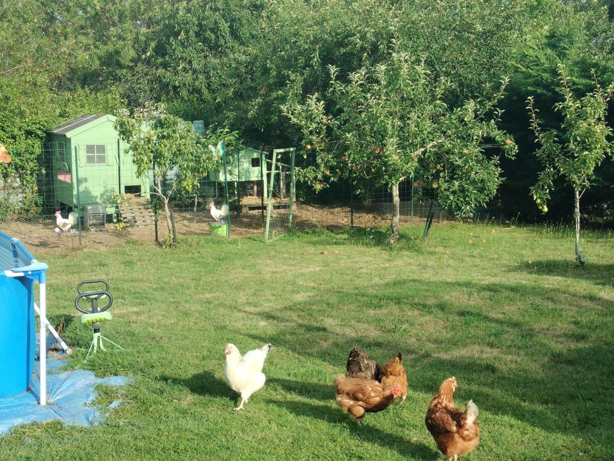 Un Studio Avec Une Entree Independante Thilouze Exteriér fotografie